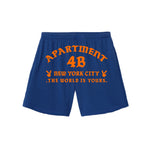 Rocksteady Mesh B-Ball Short