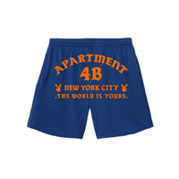 Rocksteady Mesh B-Ball Short