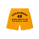 Rocksteady Mesh B-Ball Short