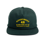 Green snapback cap with printed Rocksteady logo. Classic 5-panel construction representing NYC heritage.